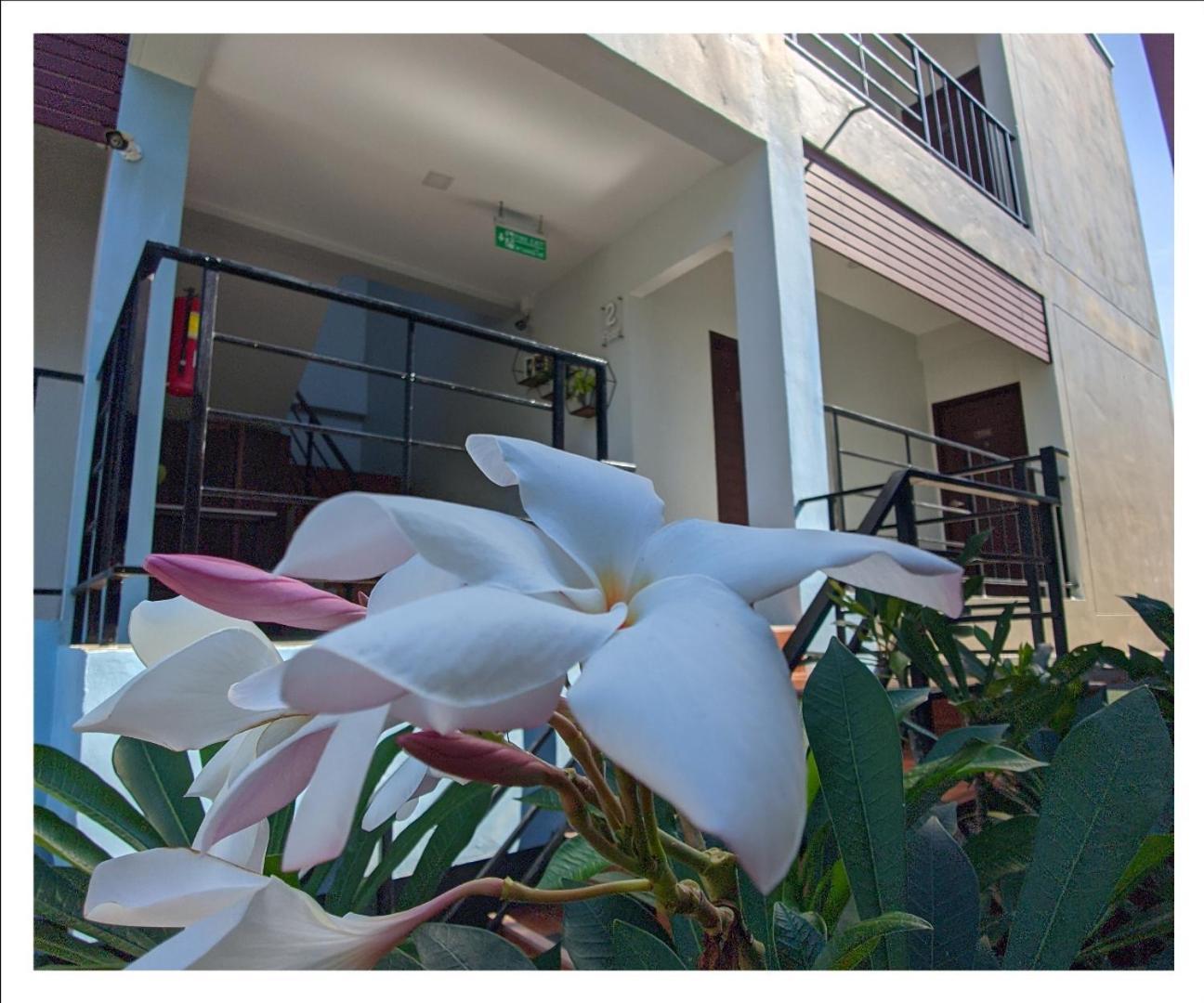 3B Apartment-Sha Extra Plus Παραλία Καμάλα Εξωτερικό φωτογραφία