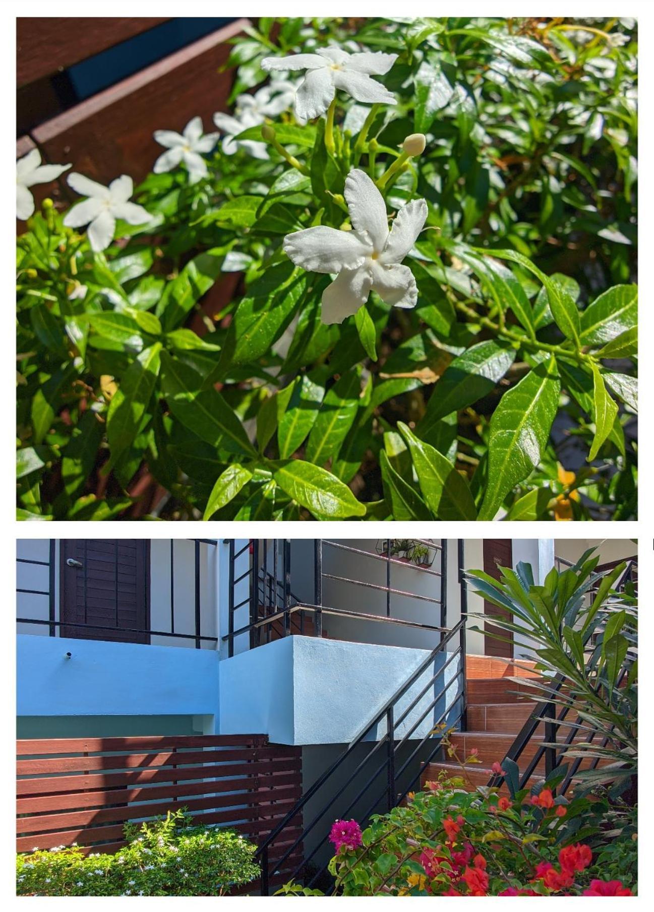 3B Apartment-Sha Extra Plus Παραλία Καμάλα Εξωτερικό φωτογραφία